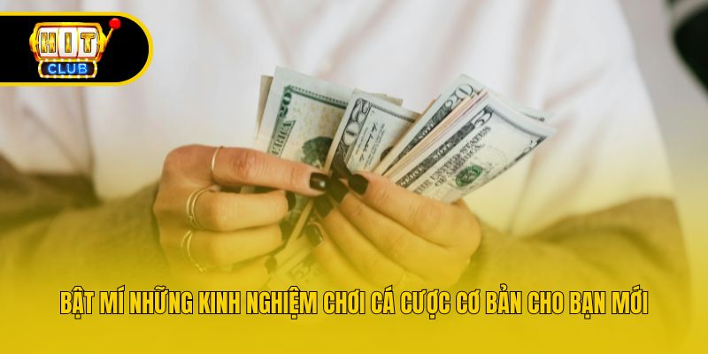 Bật mí những kinh nghiệm chơi cá cược cơ bản cho bạn mới