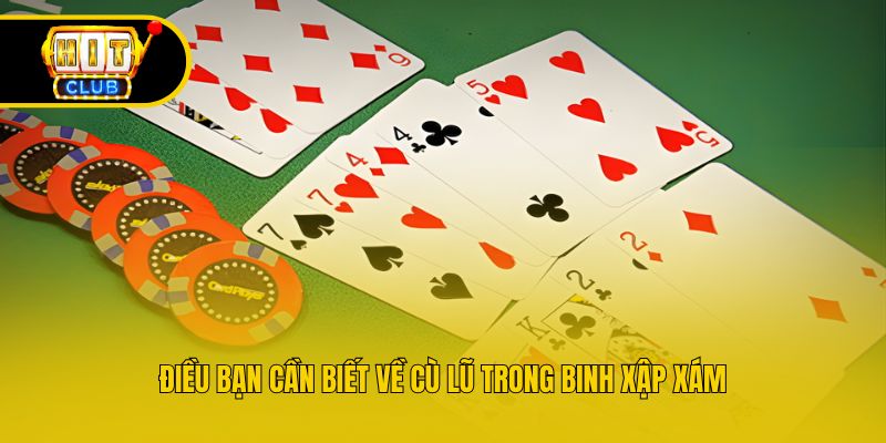 Điều bạn cần biết về cù lũ trong binh xập xám