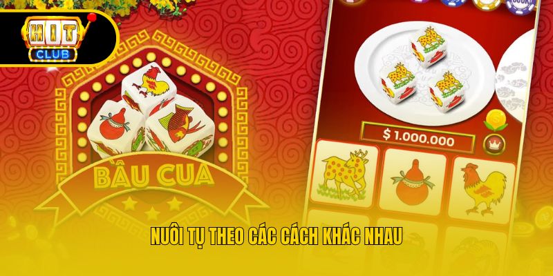 Nuôi tụ theo các cách khác nhau