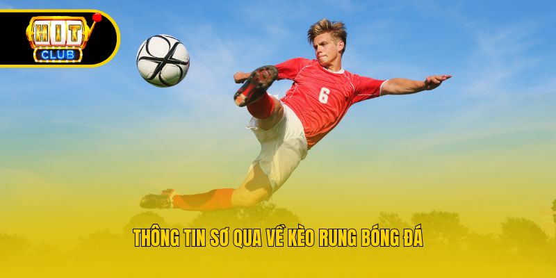 Thông tin sơ qua về kèo rung bóng đá