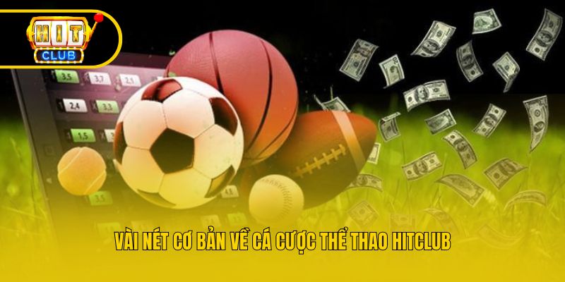 Vài nét cơ bản về cá cược thể thao Hitclub
